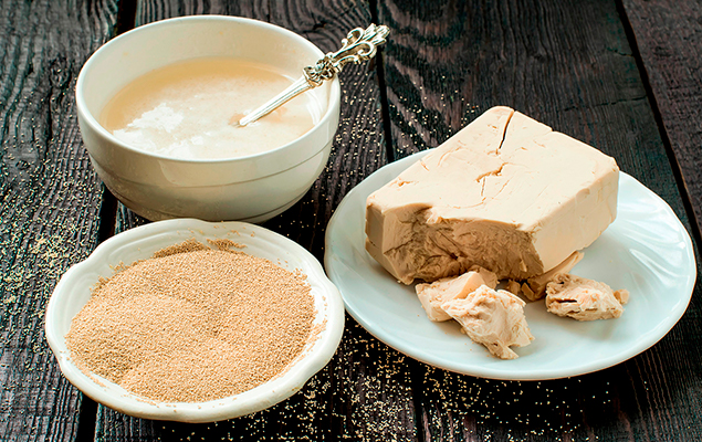 Reforçadores e Fermentos